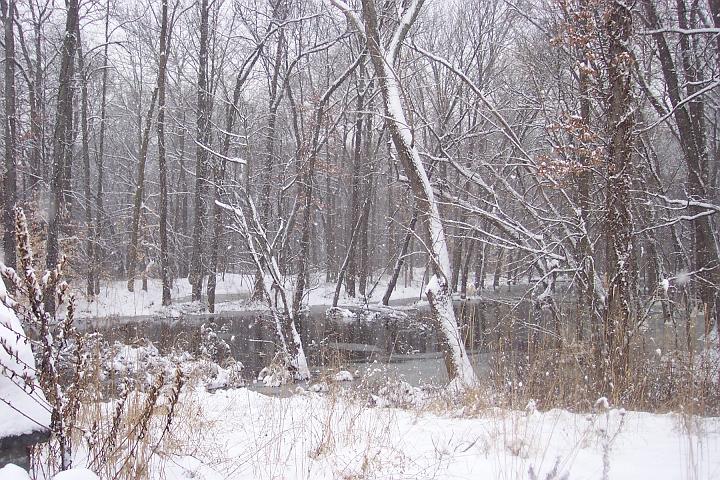 Snow 016.jpg